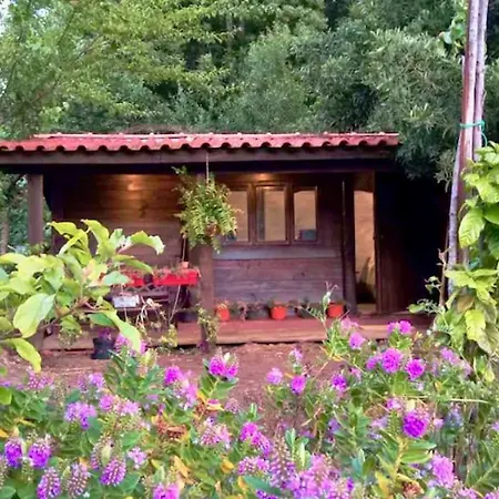 O Cantinho De Coura - A Cabana Paredes de Coura Exterior foto