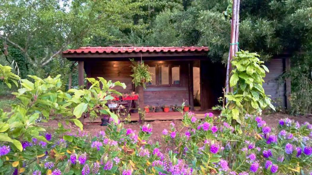 Chalet O Cantinho De Coura - A *